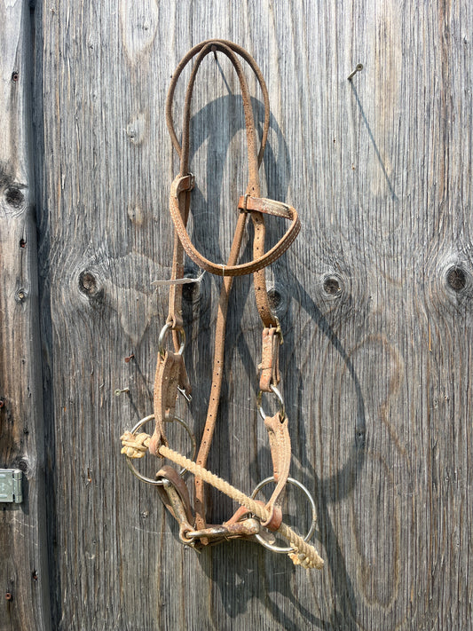 Sidepull with bit well used