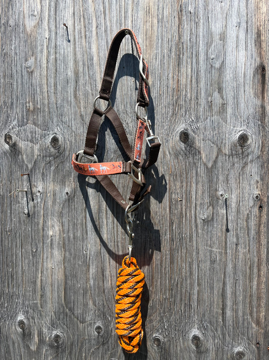 Pony halter and lead set