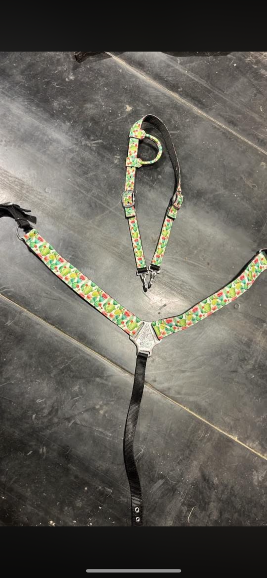 Cactus nylon tack set comes with a browband piece