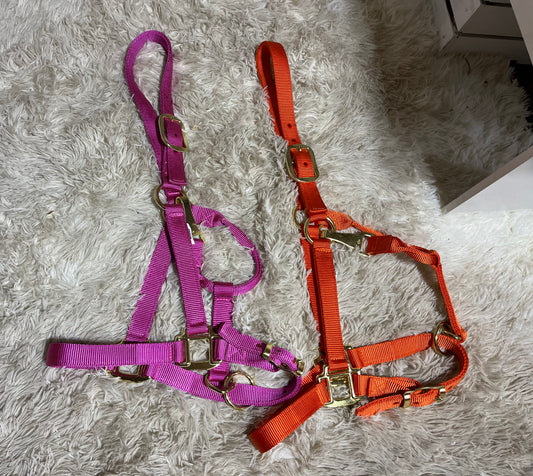 Premium nylon adjustable horse size halters