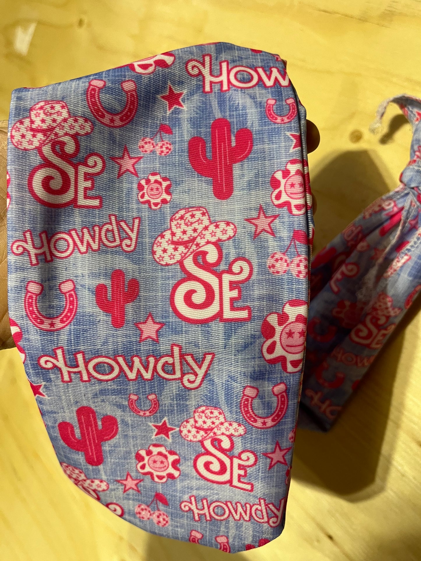 Blue and pink howdy western slip on tail bags
