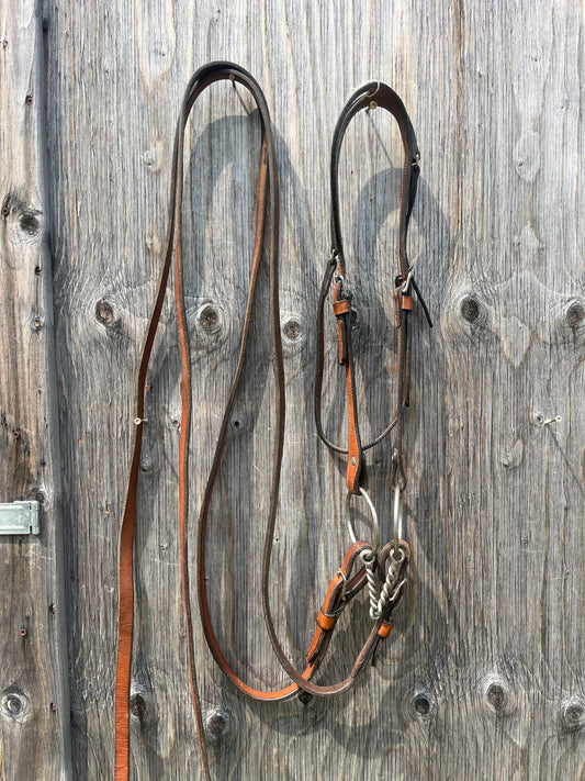 Headstall set with quick change splits and bit