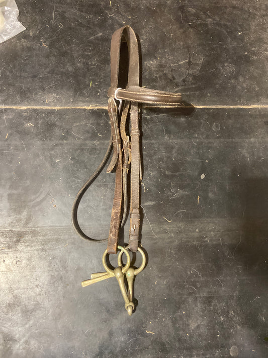Bridle with bit
