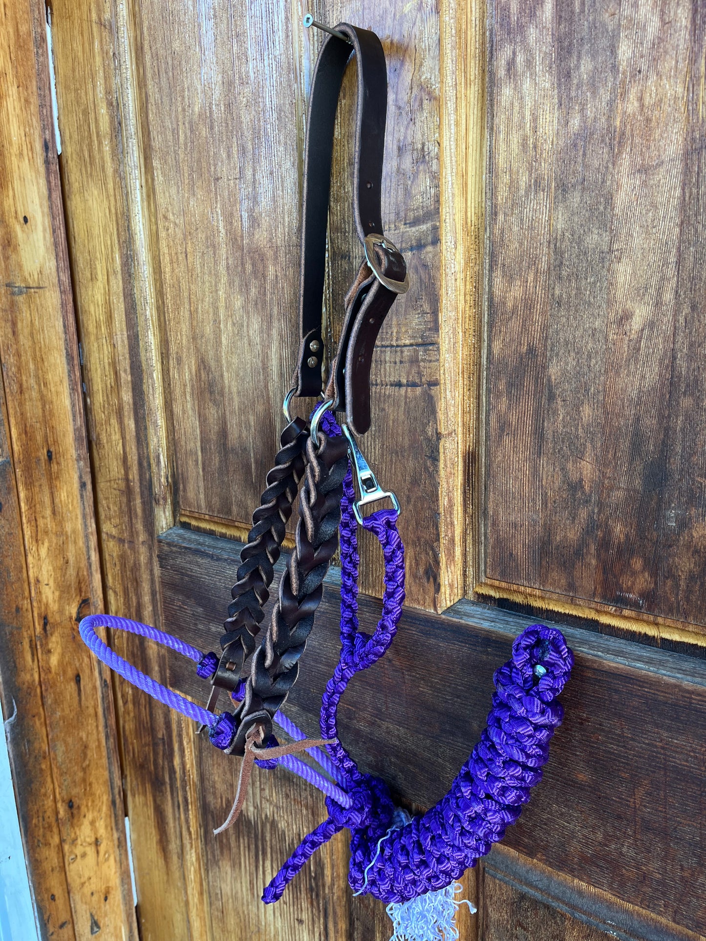 Purple lariat halter set with braided leather cheeks