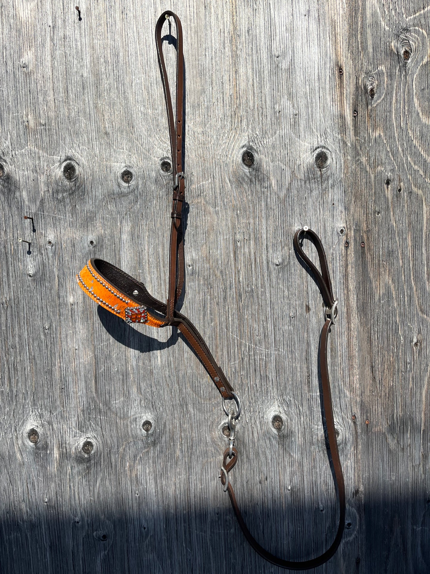 Orange noseband and tie down set