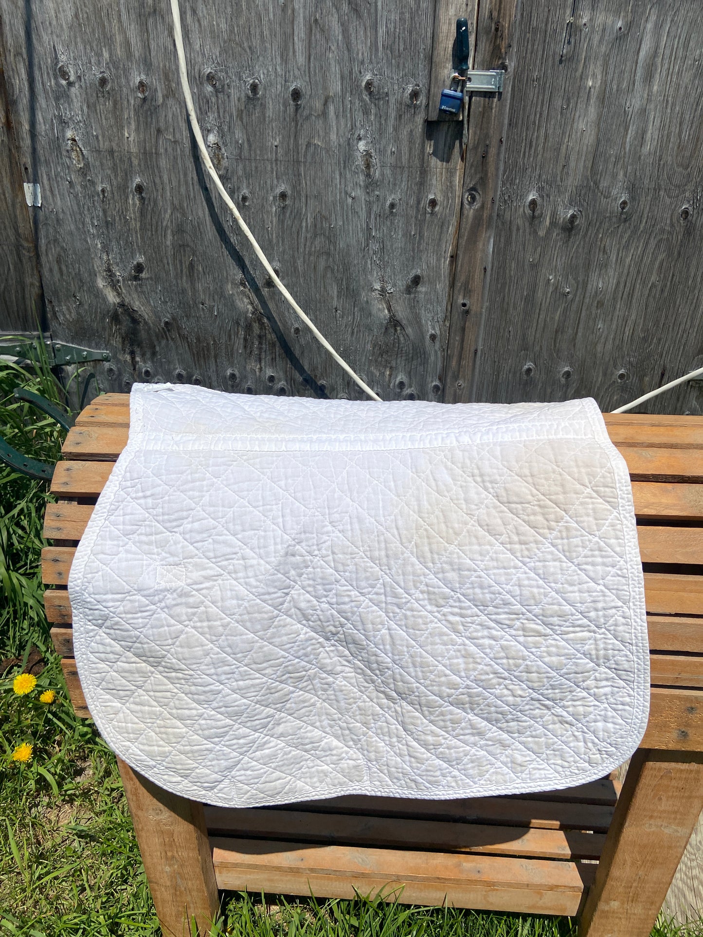 Roma lite pad