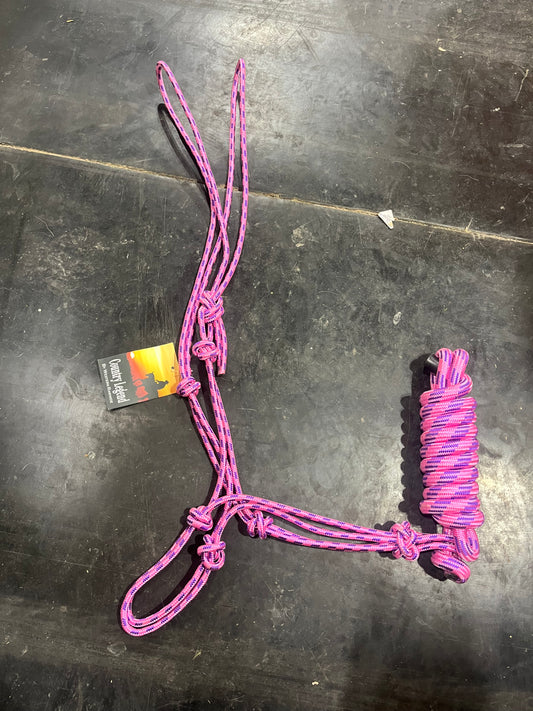 Pink rope halter and lead
