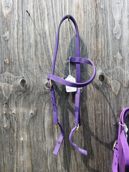 Purple headstall no throatlatch