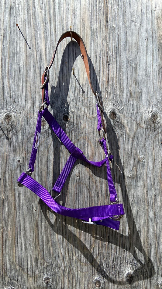 Breakaway halters 3 colours available