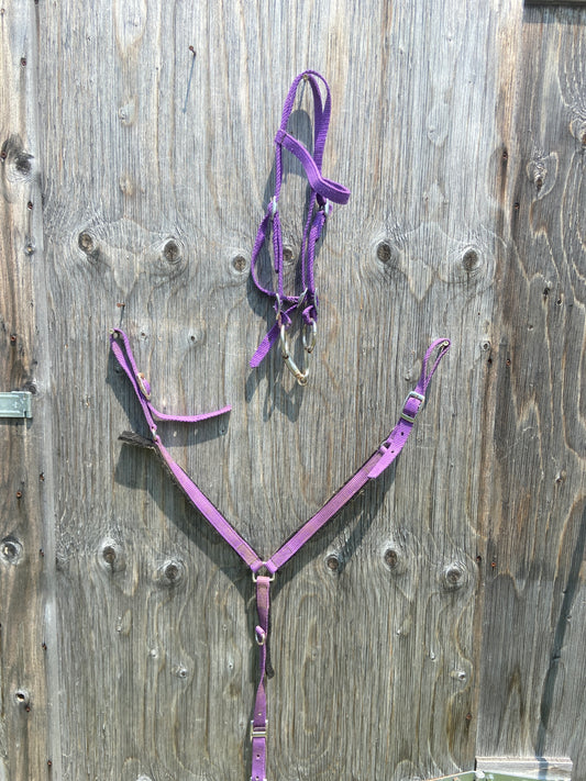 Mini purple tack set