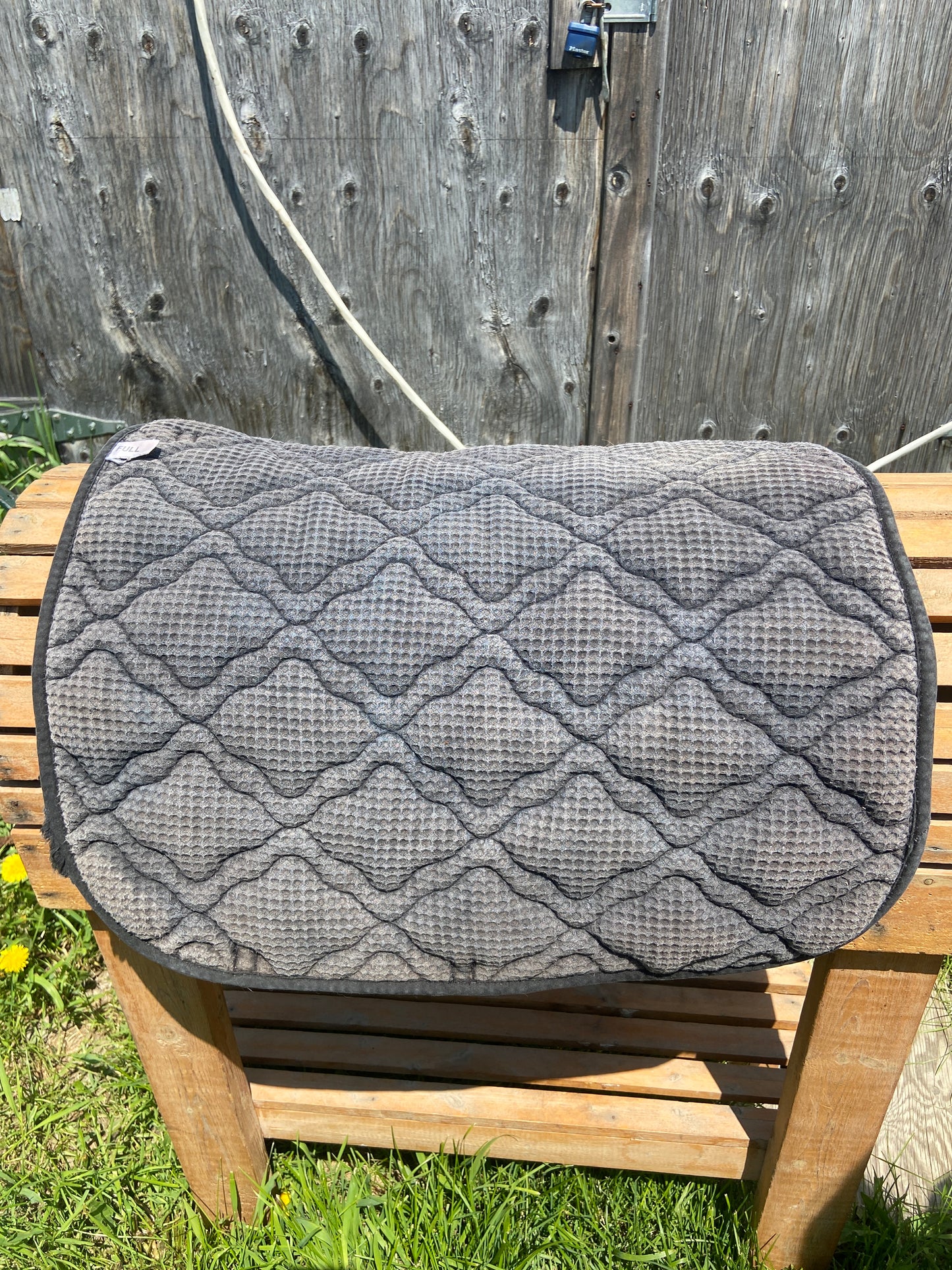 Isabelle werth black pad has rip