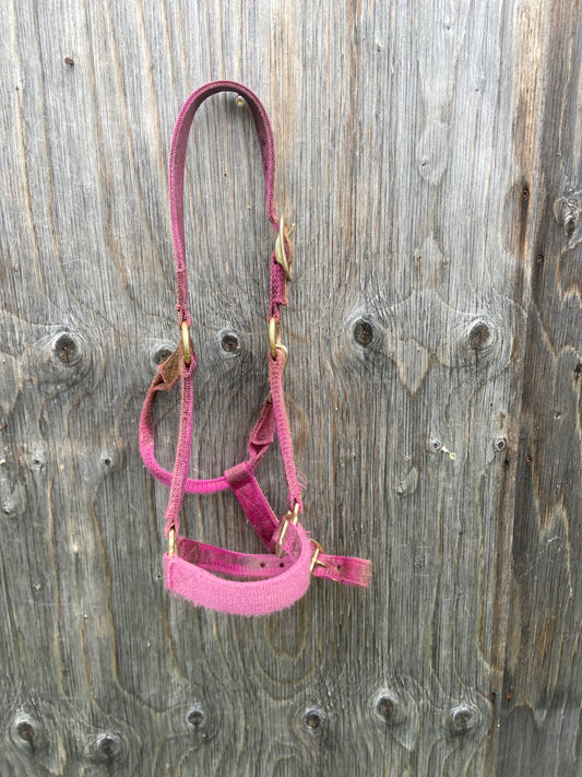 Used full halter