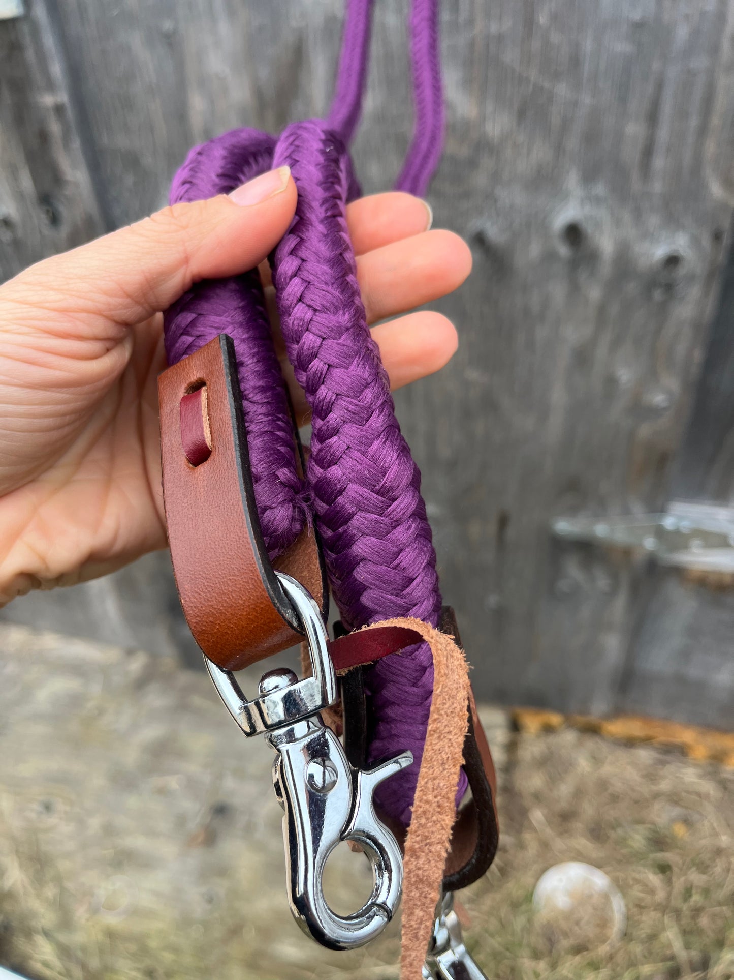 Plum reins with snaps
