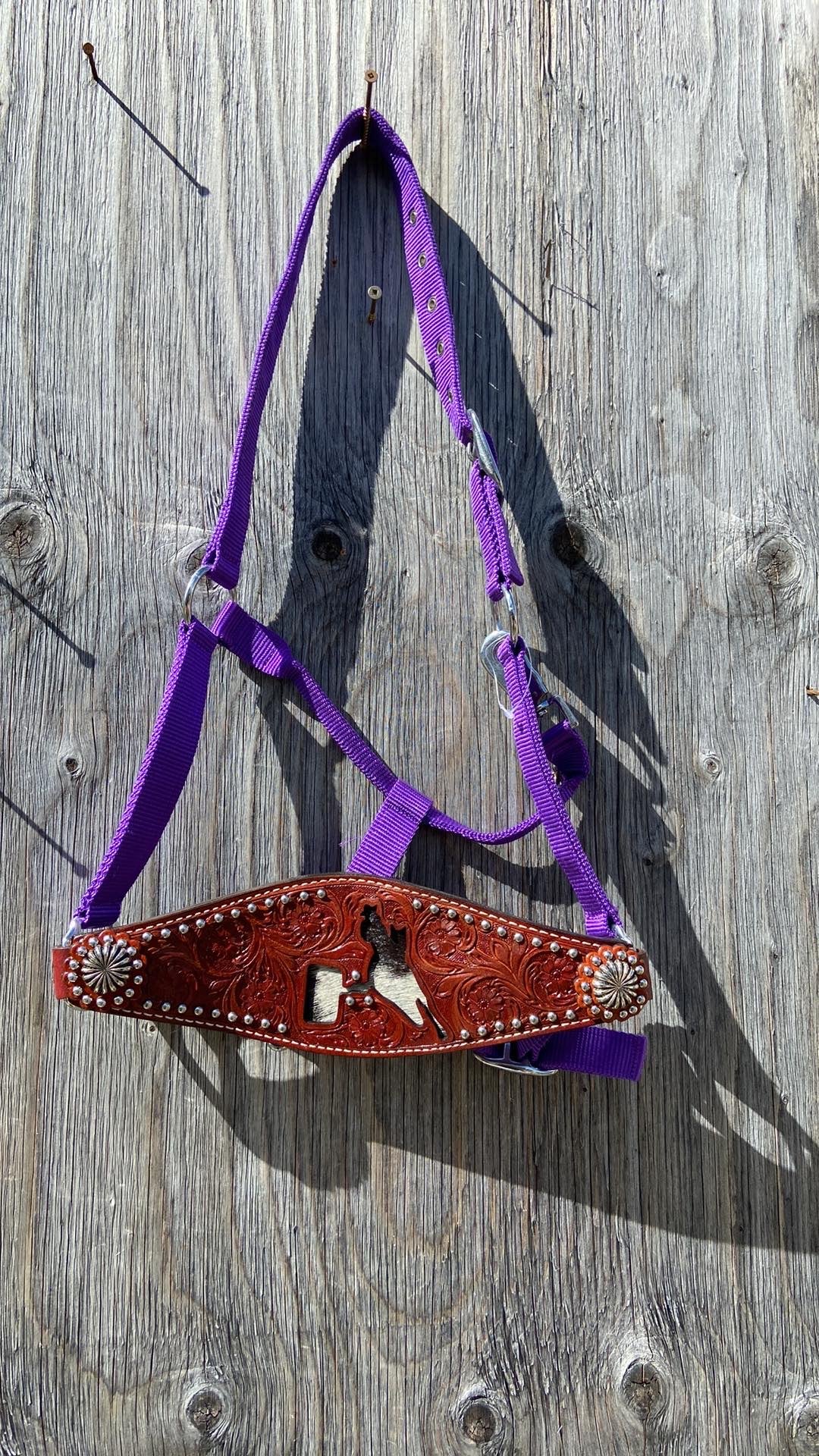 Barrel racer bronc halters with cowhide