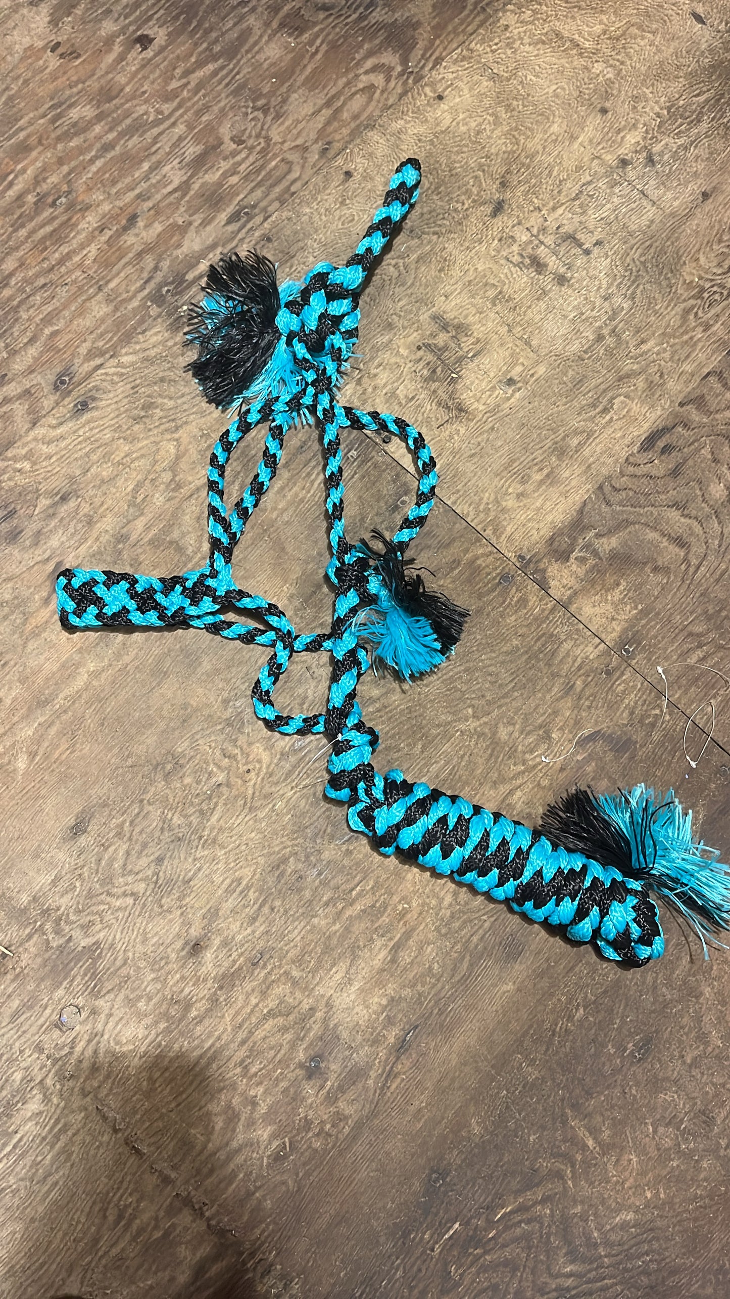 Turquoise black Muletape with lead