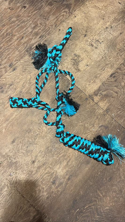 Turquoise black Muletape with lead