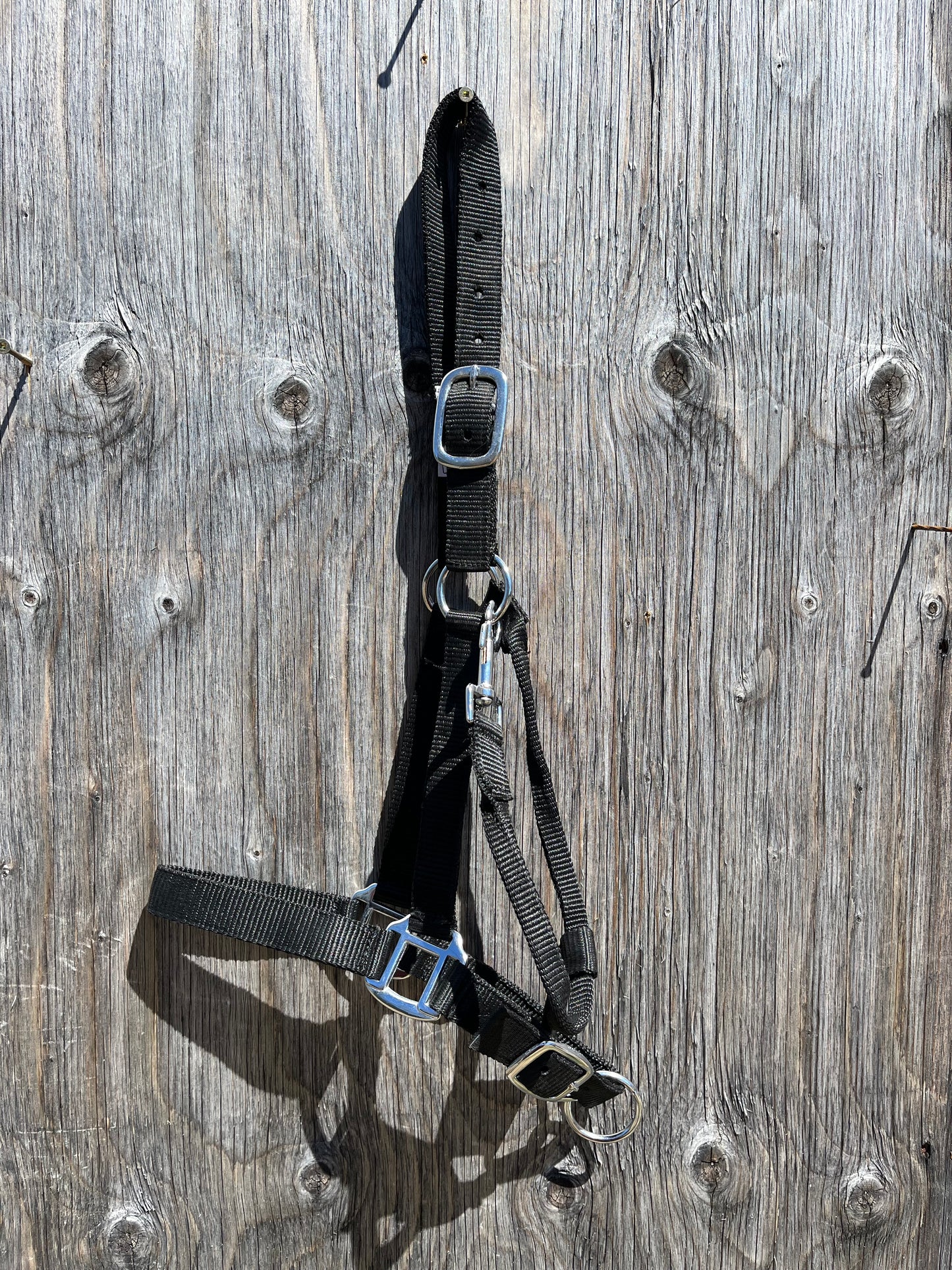 Double ply horse size halters with snap