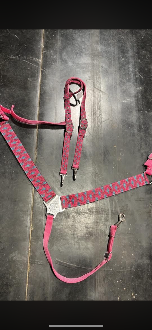 Pink teal cactus nylon tack set also comes with a browband piece