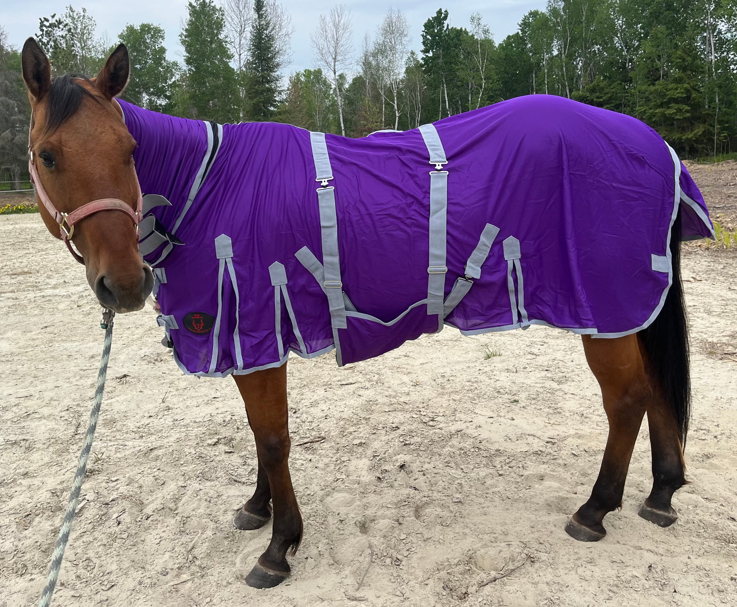 Purple flysheet with neck and removable belly