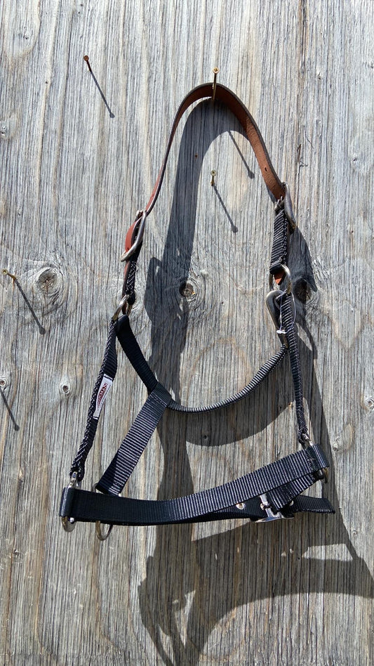 Breakaway halters