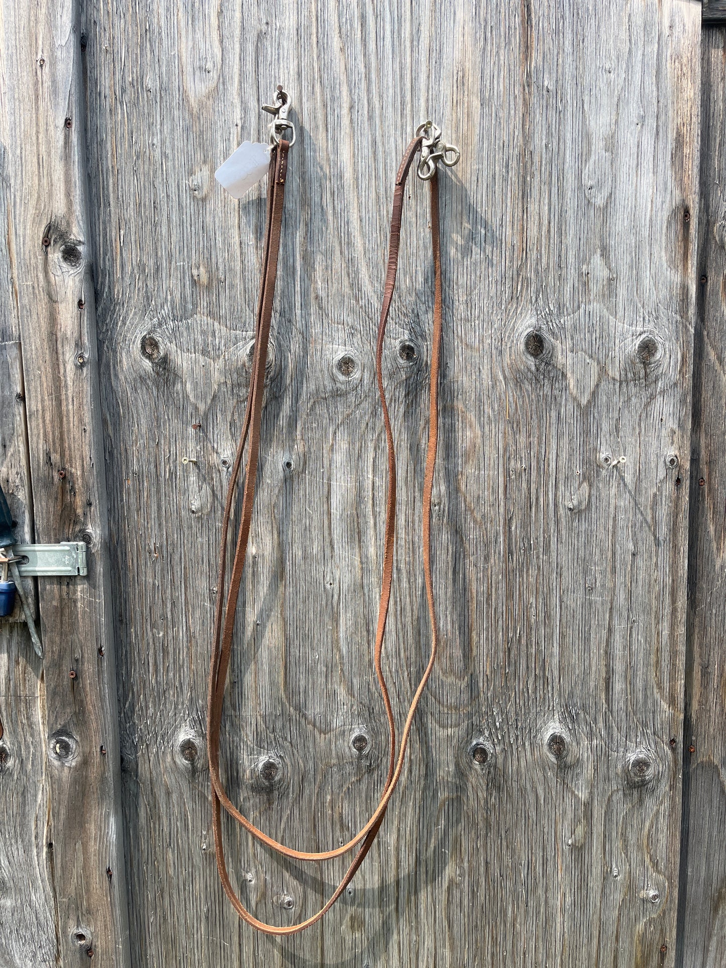 Draw reins