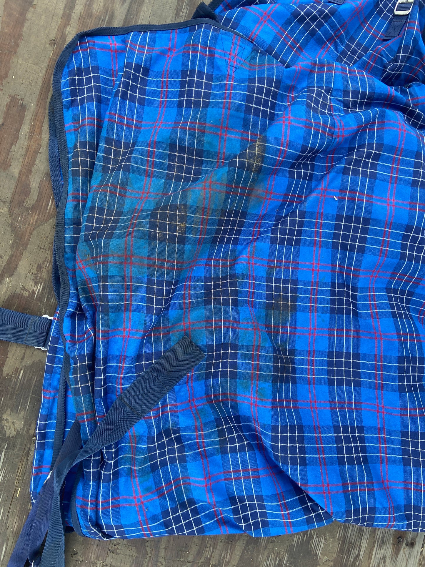 84 stable sheet