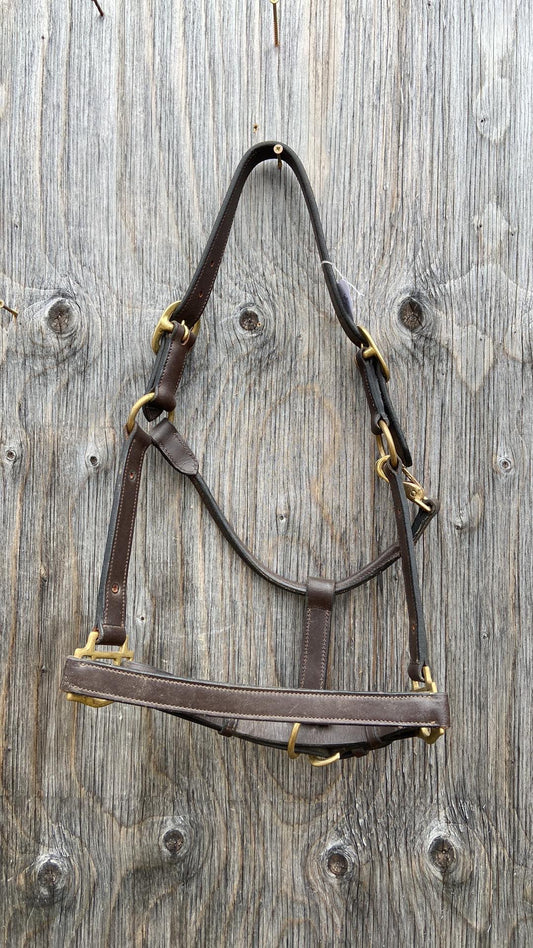 Full size leather halter