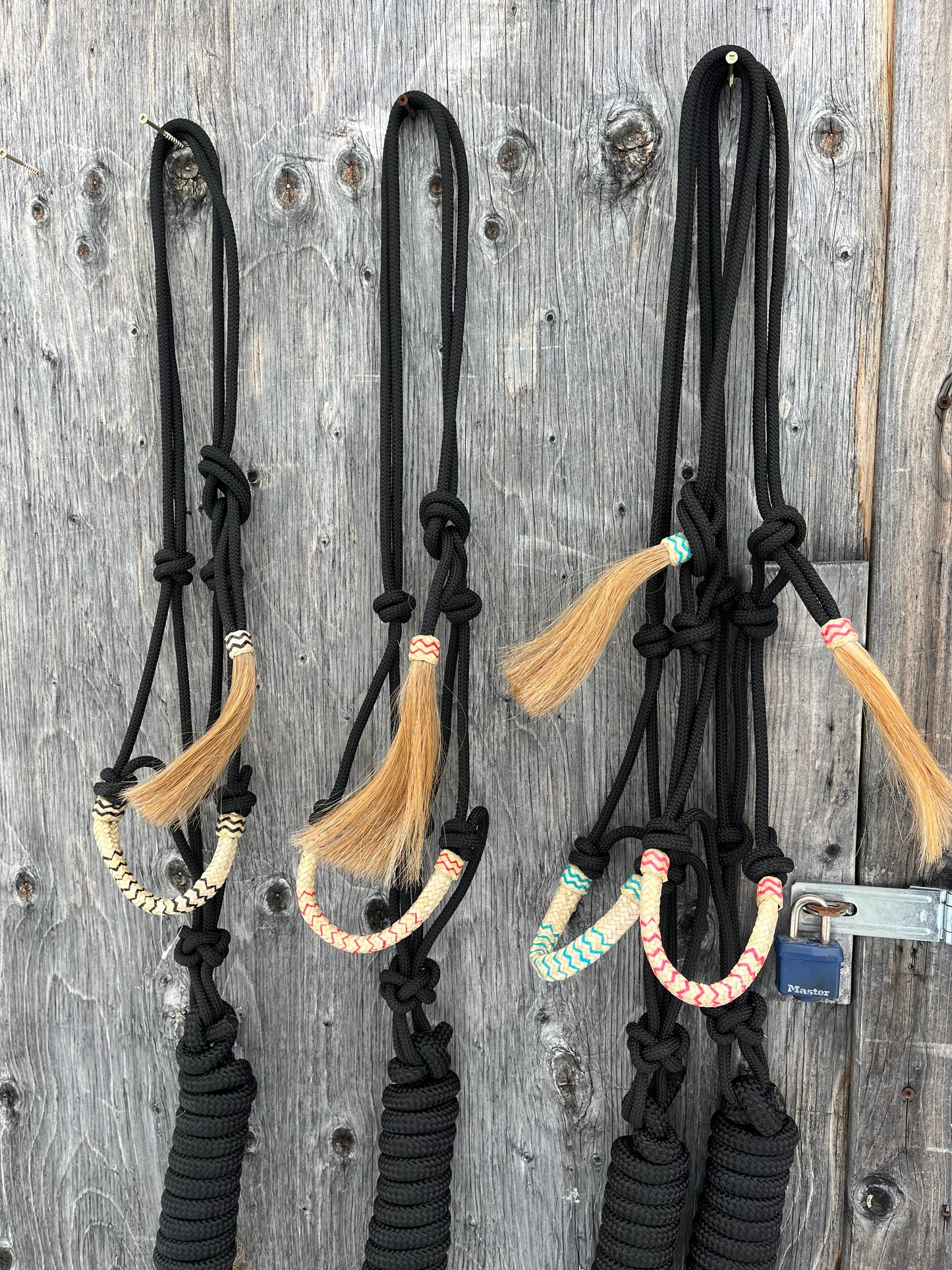 Rawhide nose rope halters with matching lead brand new