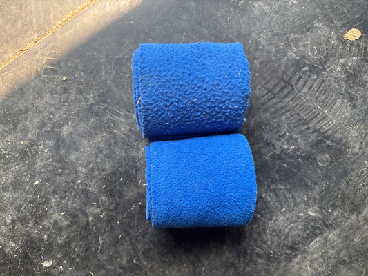 2 blue polos