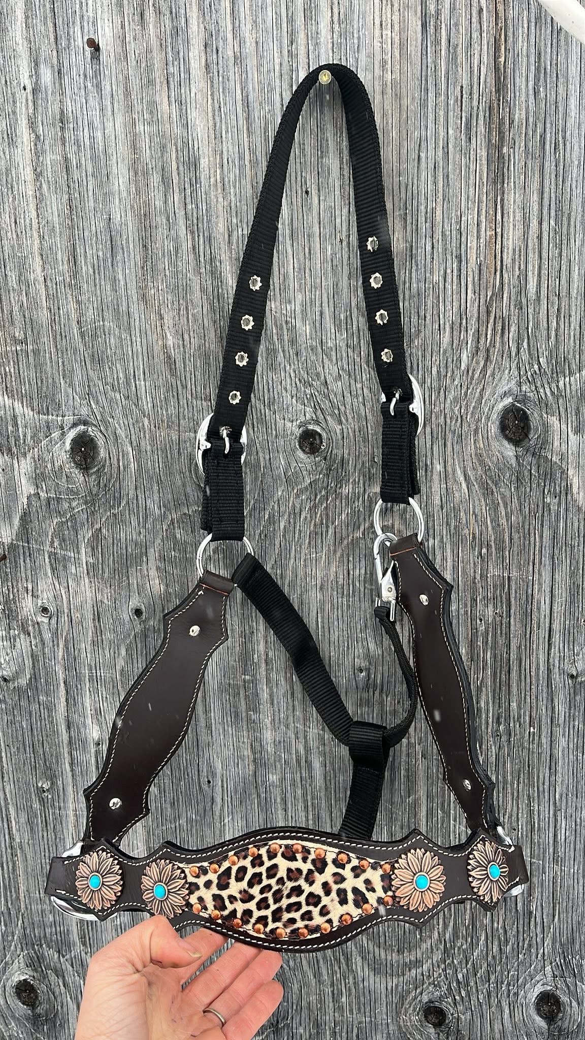 Cheetah bronc halter with leather nose and cheeks, copper flower conchos with turquoise stone centres, cheetah inlay and copper spots