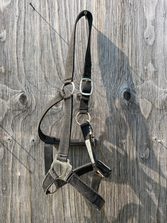 Cob size black halter