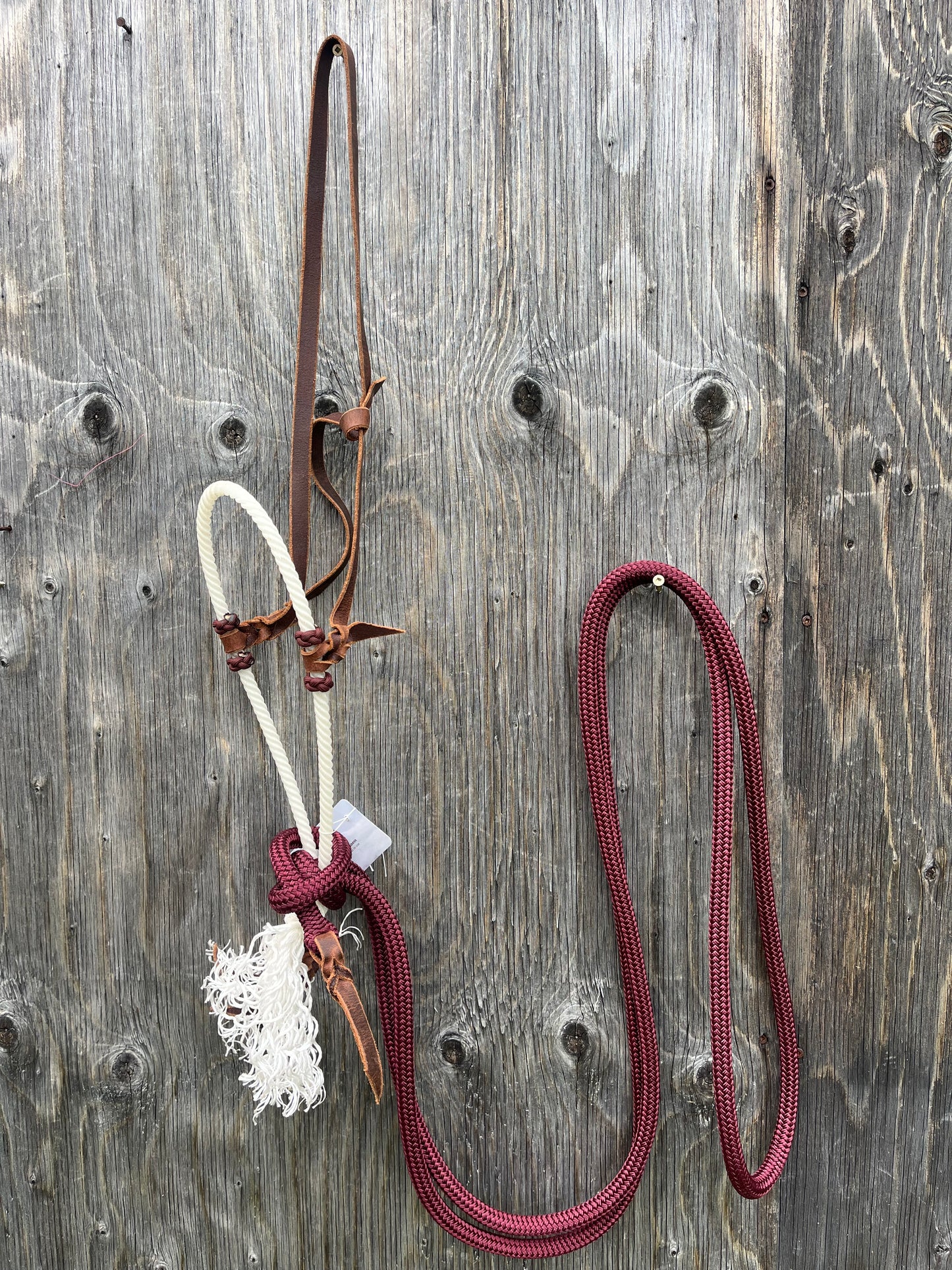 Burgundy loping hack custom made with single reins