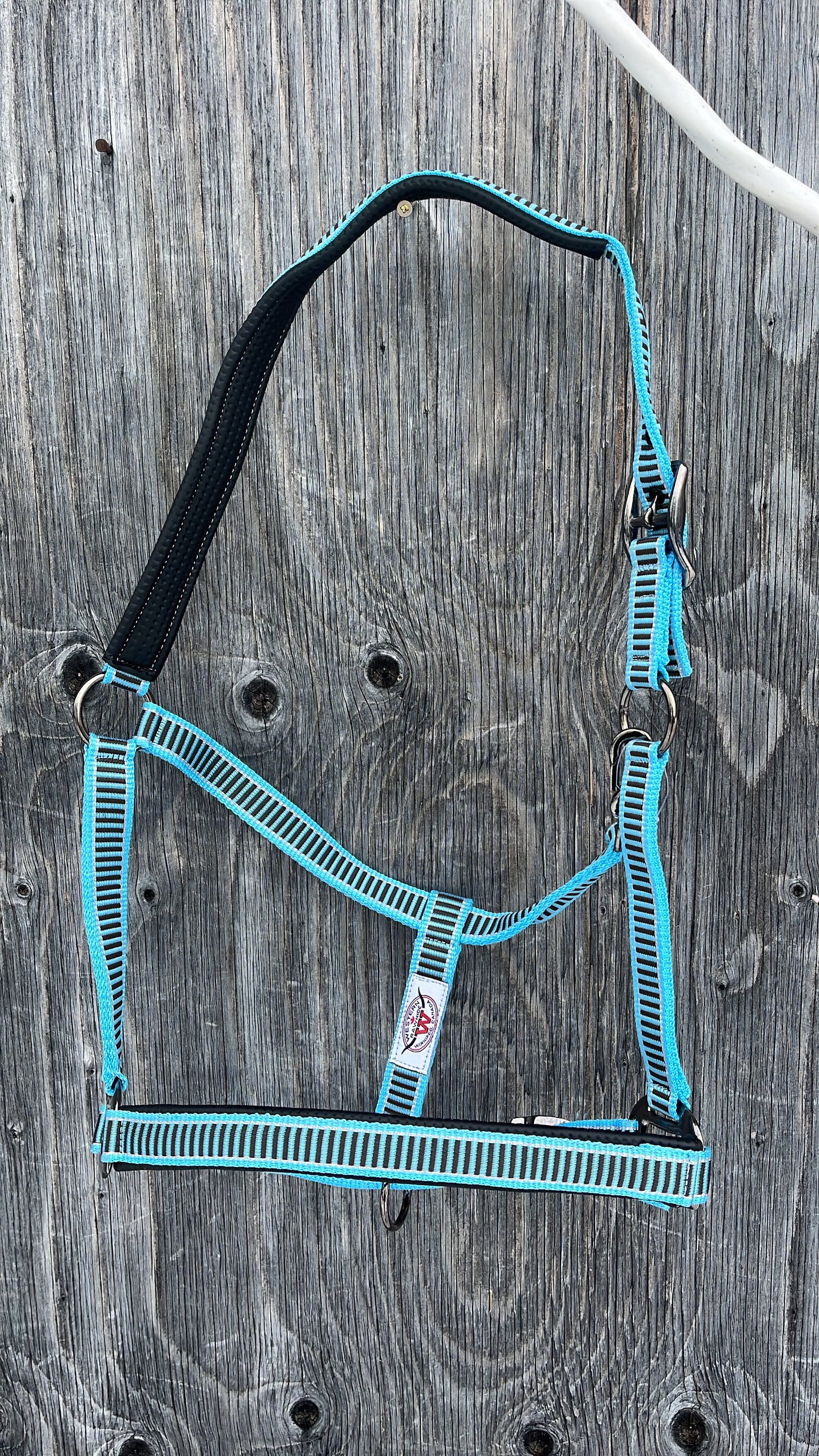 Large / warmblood padded halter