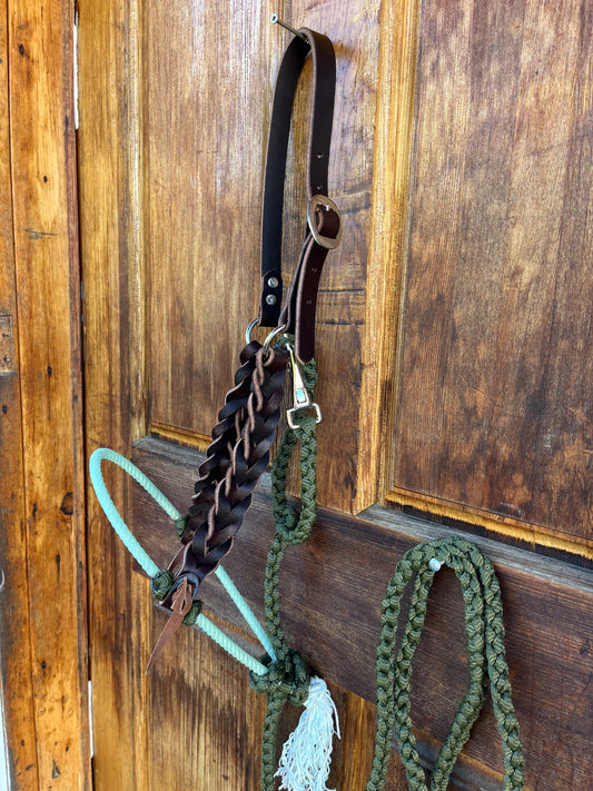 Olive & Mint Lariat nose halter set with muletape matching lead, leather braided cheeks.