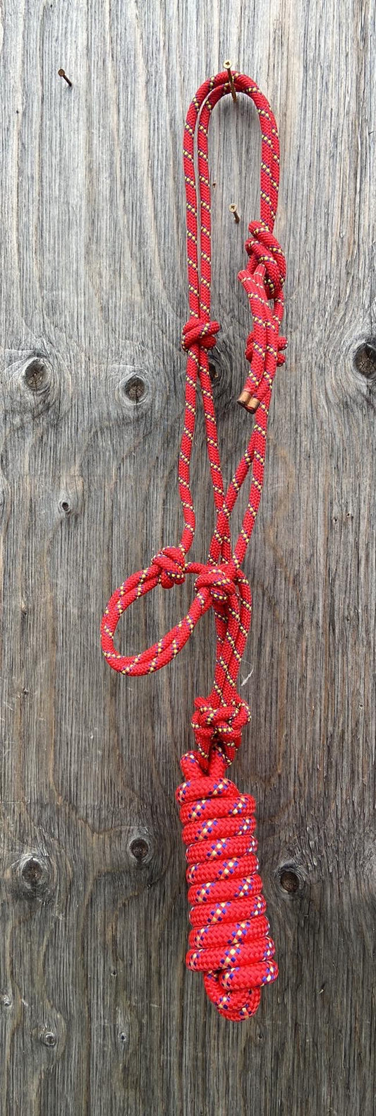 Red black rope halter with lead