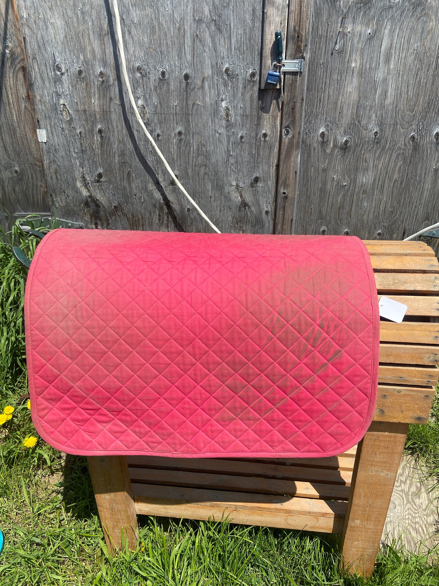 Pink baby pad