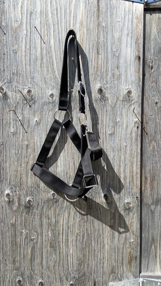 Draft halters 4 colours