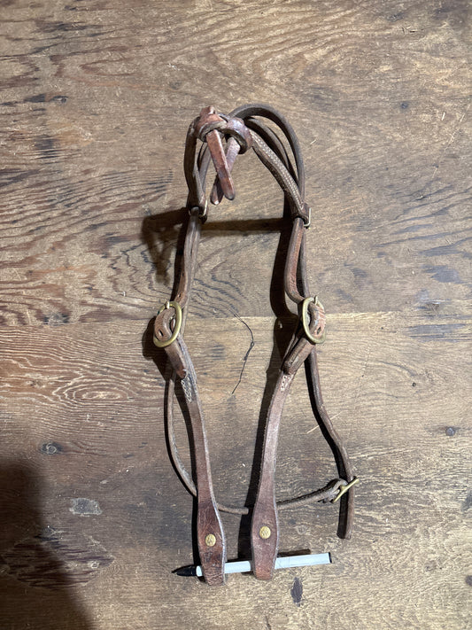 Futurity knot harness leather browband headstall