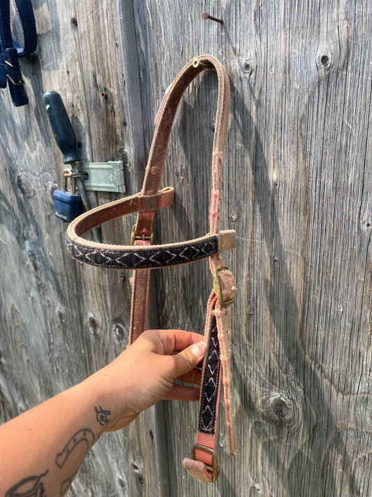 Used bridle no throat latch