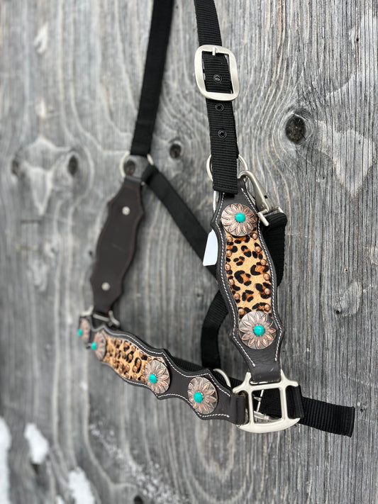 Cheetah bronc halter with nose and cheeks