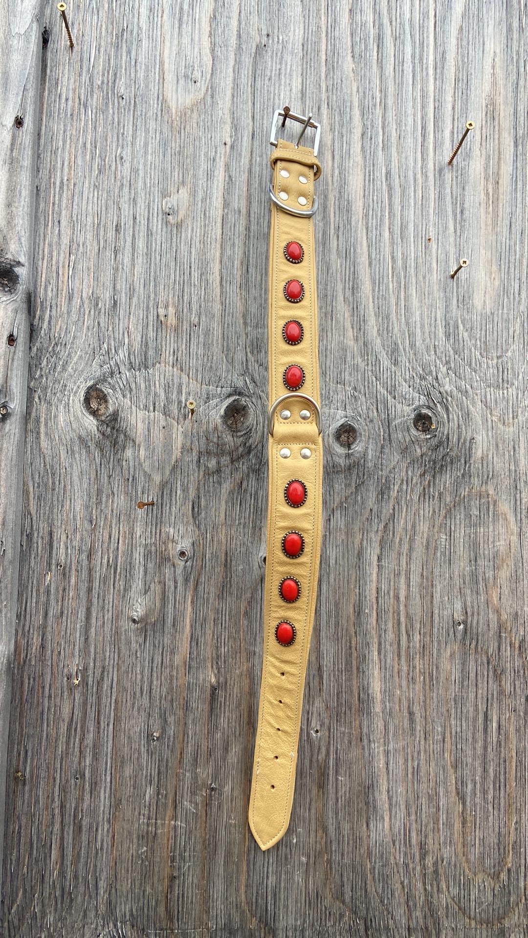 Dog collar with red spots measures 27” total length