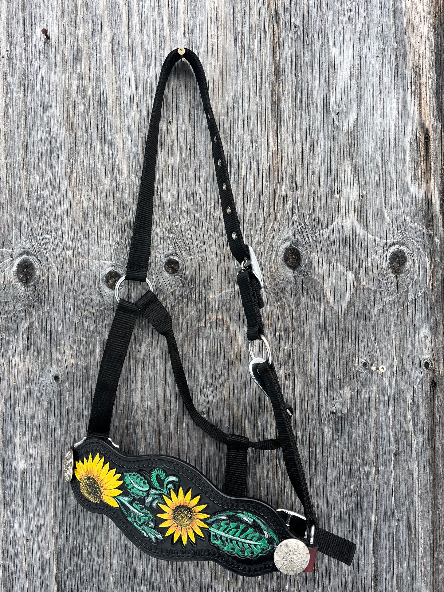 Black sunflower bronc halter