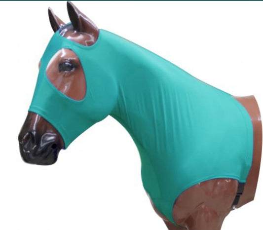 Teal slinky’s
