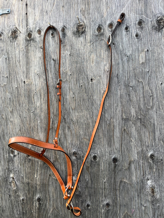 Leather tie down and strap