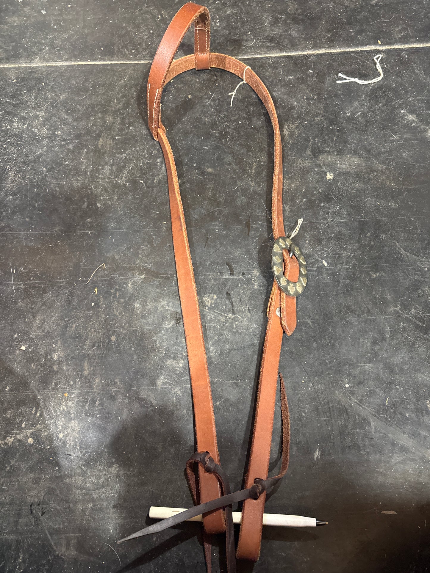 One ear gambler buckle head stall