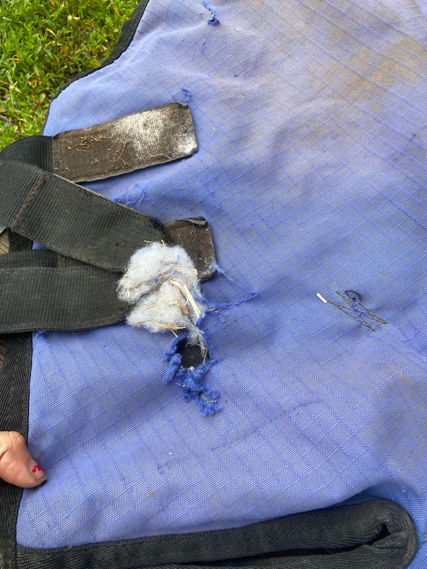 87 weatherbeeta with hood needs repair note photos