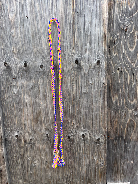Yellow blue pink reins