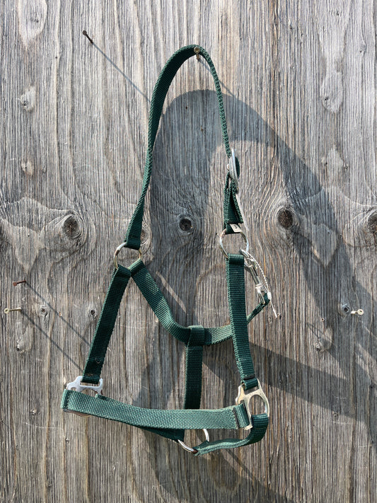 Hunter green halters