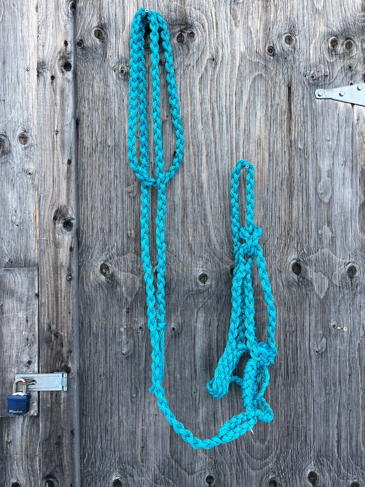 Teal muletape with long lead