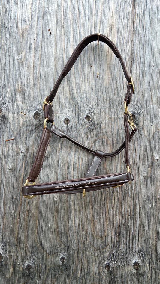 Full size fancy stitched leather halter with brass hardware